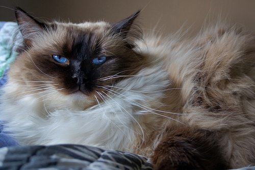 Max portrait