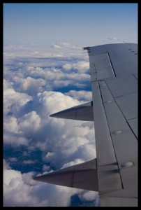 Wing