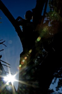 silhouette