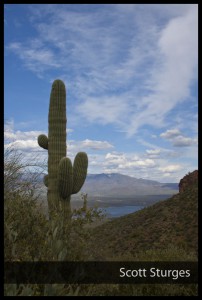 Cactus3
