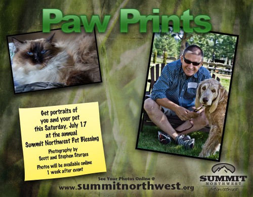 Pet Flier